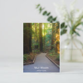 Carte Postale Muir Woods Walkway California Produits (Debout devant)