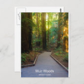 Carte Postale Muir Woods Walkway California Produits (Devant / Derrière)