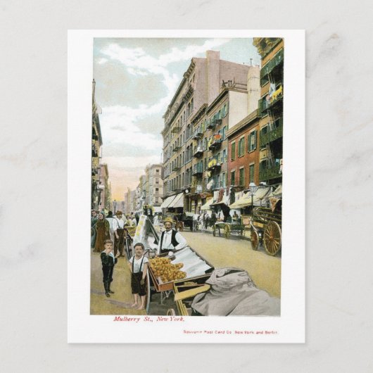 Carte Postale Mulberry St., New York (Devant)