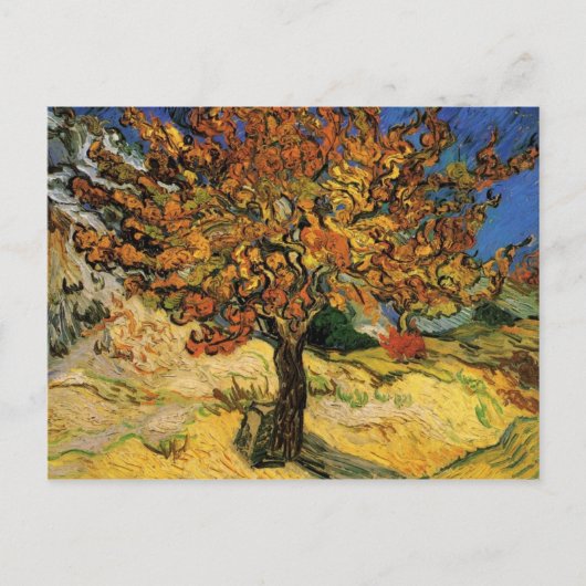 Carte Postale Mulberry Tree (F637) Van Gogh Fine Art (Devant)