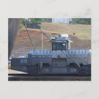 Carte Postale Mule 3