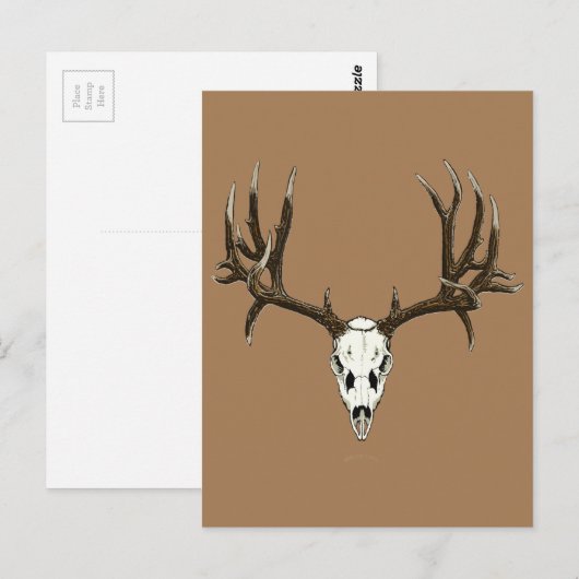 Carte Postale Mule cerf (Devant / Derrière)