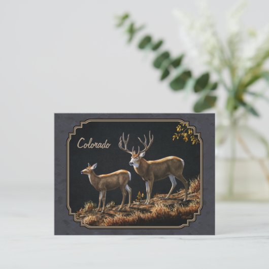 Carte Postale Mule Deer Buck et Doe Grey Custom (Debout devant)