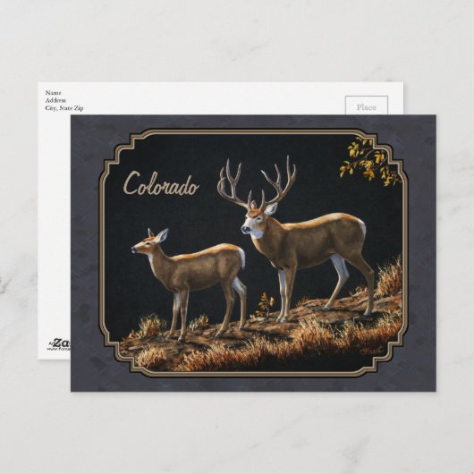 Carte Postale Mule Deer Buck et Doe Grey Custom (Devant / Derrière)