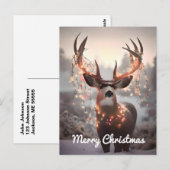 Carte Postale Mule Deer et les lumières de Noël (Devant / Derrière)