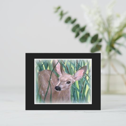 Carte Postale Mule Deer Fawn (Debout devant)