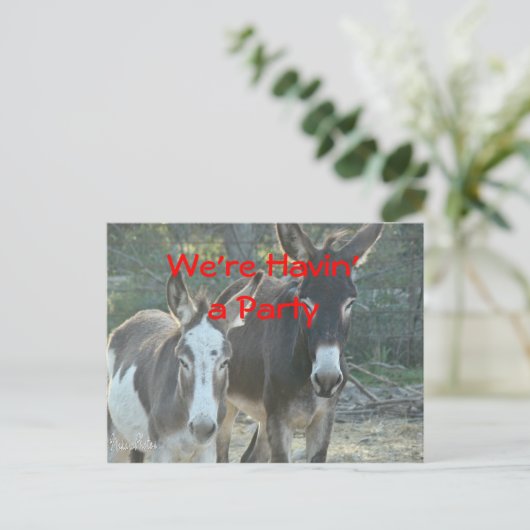 Carte Postale Mule Postcard-any occasion-customize (Debout devant)