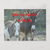 Carte Postale Mule Postcard-any occasion-customize (Devant)