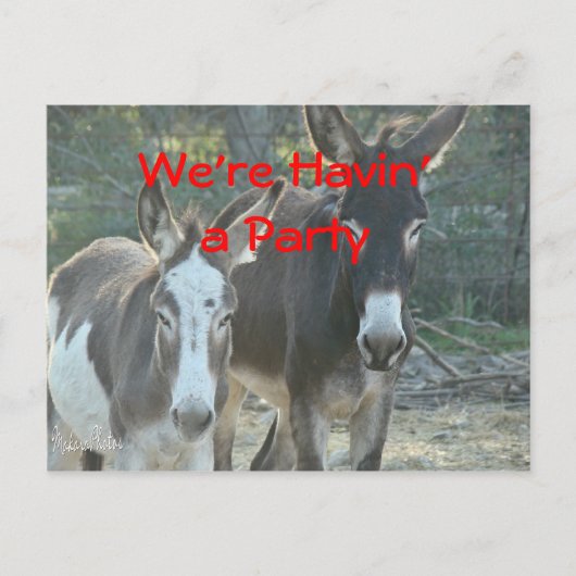 Carte Postale Mule Postcard-any occasion-customize (Devant)