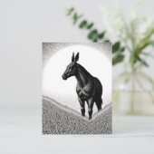Carte Postale Mulet Noir et Blanc (Debout devant)
