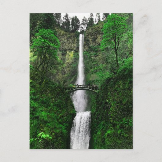 Carte postale Multnomah Falls #2-2 (Devant)