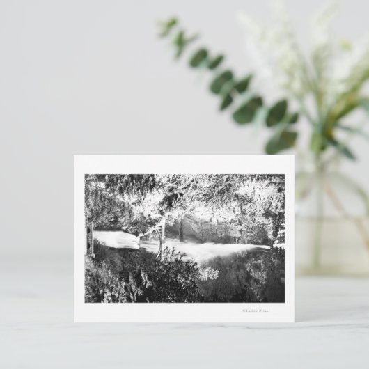 Carte Postale Multnomah Falls PhotographieColumbia River, OU (Debout devant)