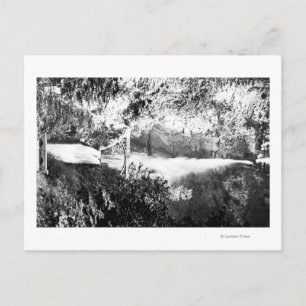 Carte Postale Multnomah Falls PhotographieColumbia River, OU