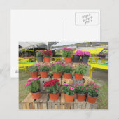 Carte postale "Mums à vendre" (Devant / Derrière)