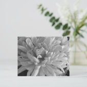 Carte postale Mum's The Word (Debout devant)