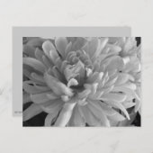 Carte postale Mum's The Word (Devant / Derrière)