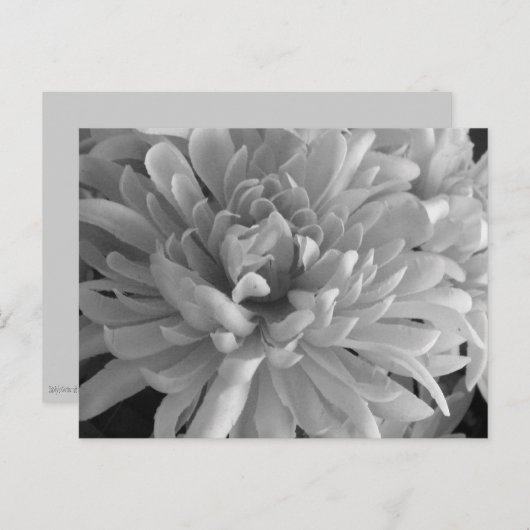 Carte postale Mum's The Word (Devant / Derrière)