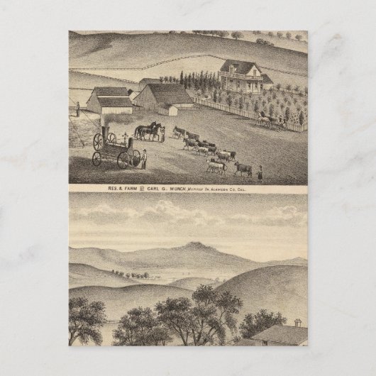 Carte Postale Munch, Résidences de Stanley, fermes (Devant)