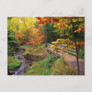 Carte Postale Munising Falls Trail, Alger County, Michigan