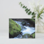 Carte postale Munson Creek (Debout devant)