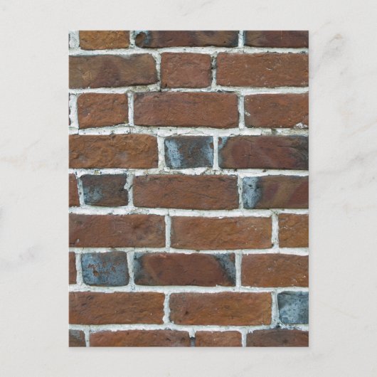 CARTE POSTALE MUR BRICKS (Devant)