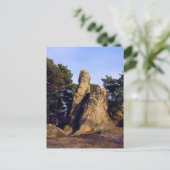 Carte Postale Mur de démons (Debout devant)