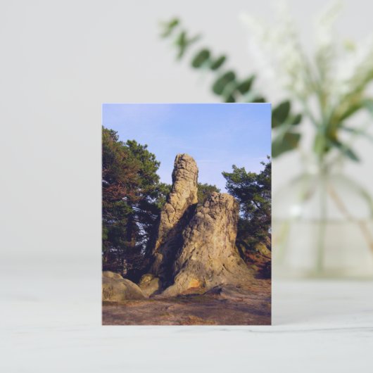 Carte Postale Mur de démons (Debout devant)