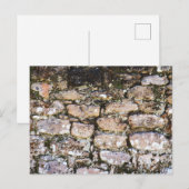 Carte Postale Mur de ruines mayas (Devant / Derrière)