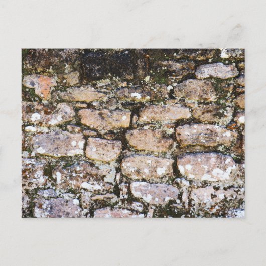 Carte Postale Mur de ruines mayas (Devant)