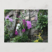 Carte Postale Mur d'orchidées (Devant)
