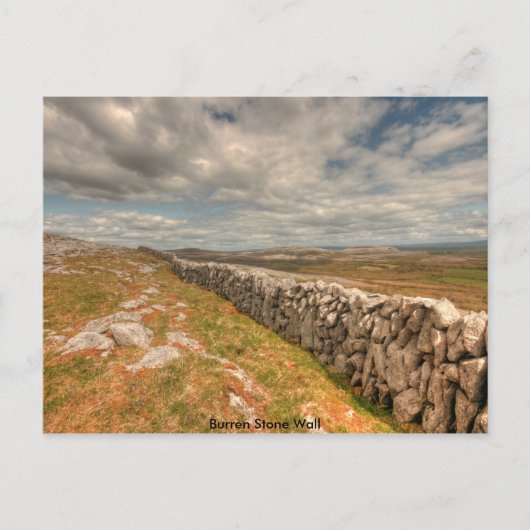 Carte Postale Mur en pierre de Burren (Devant)