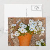Carte Postale Mur espagnol (Devant / Derrière)