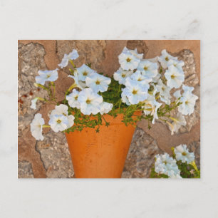 Carte Postale Mur espagnol
