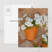 Carte Postale Mur espagnol (Devant / Derrière)