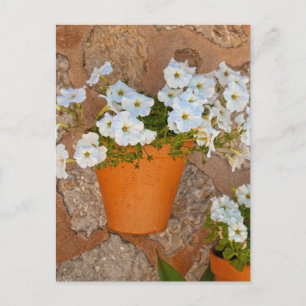 Carte Postale Mur espagnol