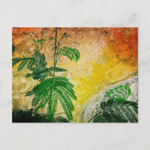 Carte Postale Mur jaune avec plante
