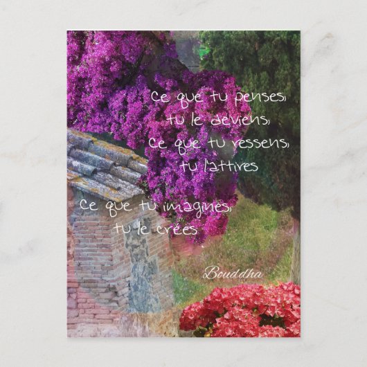 Carte Postale Mur, nature et message (Devant)