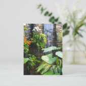 Carte Postale Mur orchidée (Debout devant)