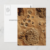 Carte postale murale (Devant / Derrière)