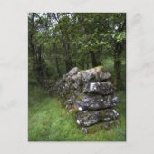 Carte postale murale Drystone (Devant)
