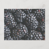 Carte Postale Mûres (Devant)