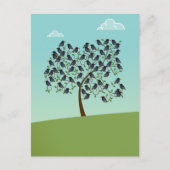 Carte Postale Murmuration de Starlings (Devant)