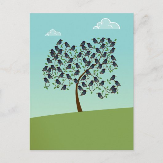 Carte Postale Murmuration de Starlings (Devant)