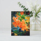 Carte Postale Musc (Debout devant)