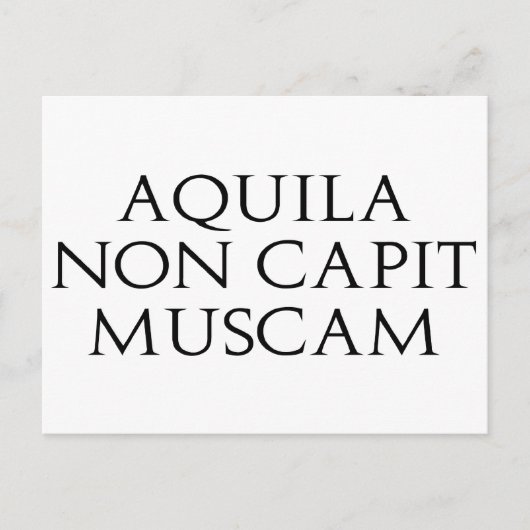 Carte Postale Muscam Aquila Non Captive (Devant)
