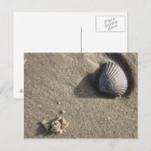 Carte Postale Muschel (Devant / Derrière)