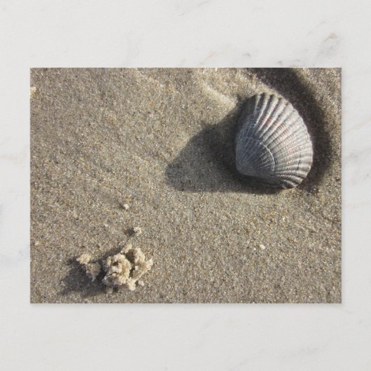 Carte Postale Muschel (Devant)