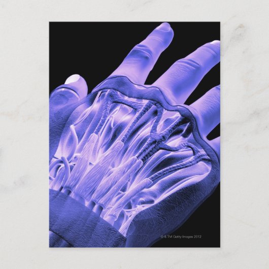 Carte Postale Muscles de la main (Devant)