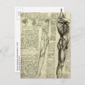 Carte Postale Muscles humains anatomiques de Léonard de Vinci (Devant / Derrière)