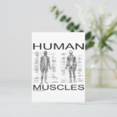 Carte Postale Muscles humains et anatomie (Debout devant)